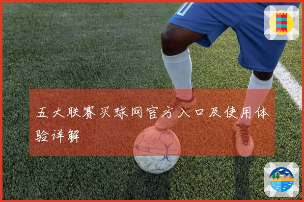 五大联赛买球网官方入口及使用体验详解