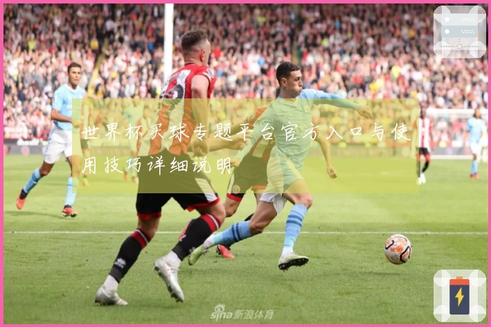 世界杯买球专题平台官方入口与使用技巧详细说明