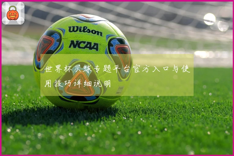 世界杯买球专题平台官方入口与使用技巧详细说明
