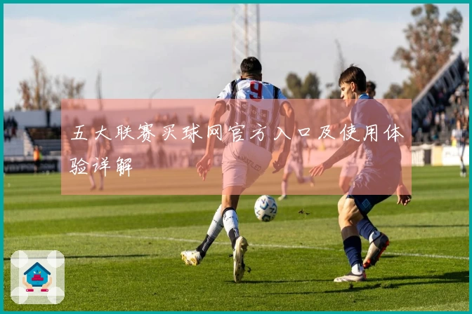 五大联赛买球网官方入口及使用体验详解