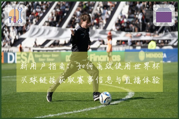 新用户指南：如何高效使用世界杯买球链接获取赛事信息与直播体验