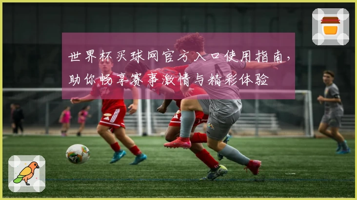 世界杯买球网官方入口使用指南，助你畅享赛事激情与精彩体验