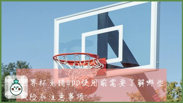 世界杯竞猜app使用前需要了解哪些风险和注意事项