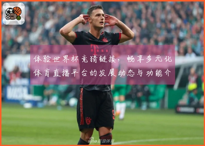 体验世界杯竞猜链接,畅享多元化体育直播平台的发展动态与功能介绍