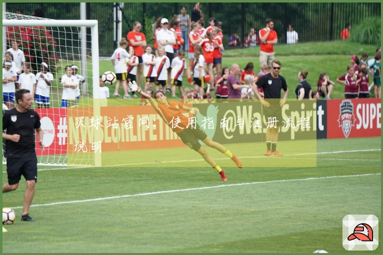 买球站官网：使用指南与注册流程说明