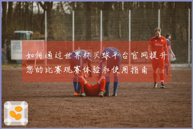 如何通过世界杯买球平台官网提升您的比赛观赛体验和使用指南