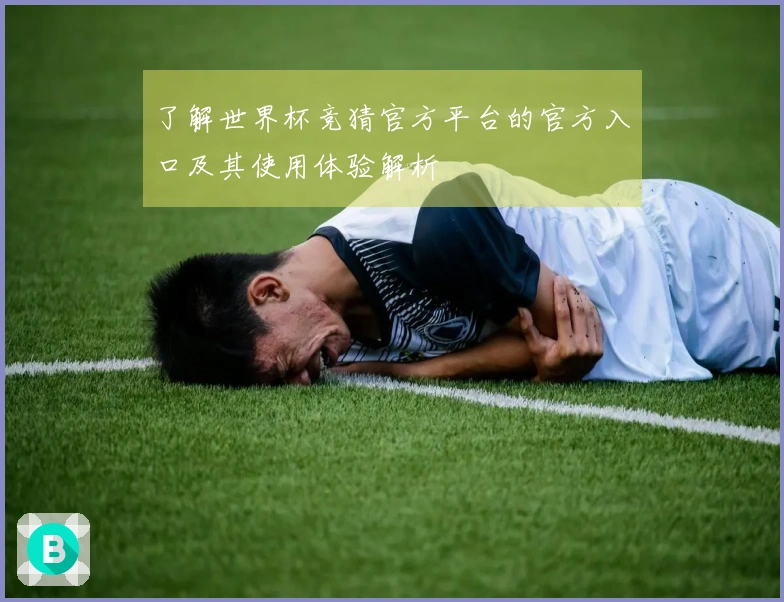 了解世界杯竞猜官方平台的官方入口及其使用体验解析