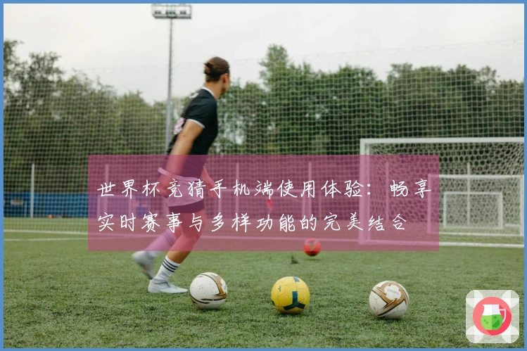 世界杯竞猜手机端使用体验：畅享实时赛事与多样功能的完美结合