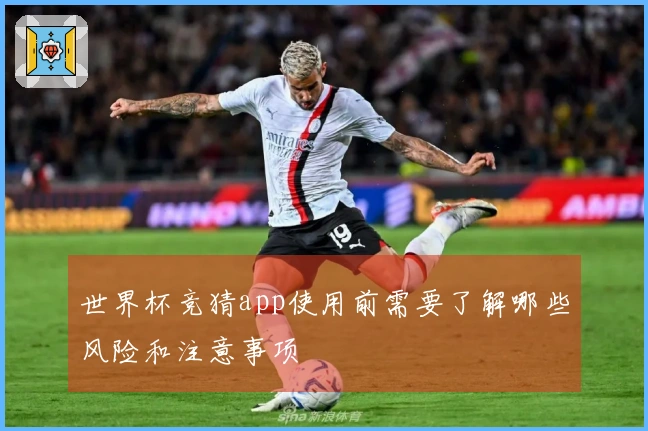 世界杯竞猜app使用前需要了解哪些风险和注意事项