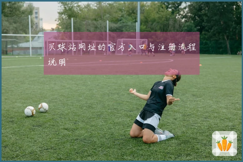 买球站网址的官方入口与注册流程说明