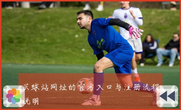 买球站网址的官方入口与注册流程说明