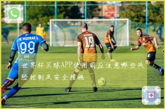 世界杯买球APP使用前应注意哪些风险控制及安全措施