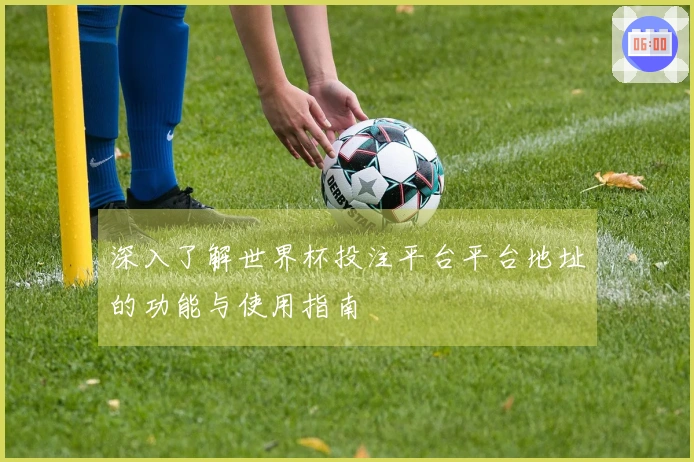 深入了解世界杯投注平台平台地址的功能与使用指南