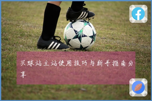 买球站主站使用技巧与新手指南分享