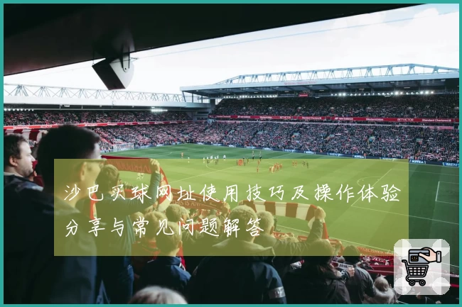 沙巴买球网址使用技巧及操作体验分享与常见问题解答