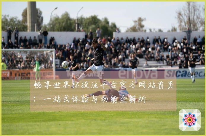 畅享世界杯投注平台官方网站首页：一站式体验与功能全解析
