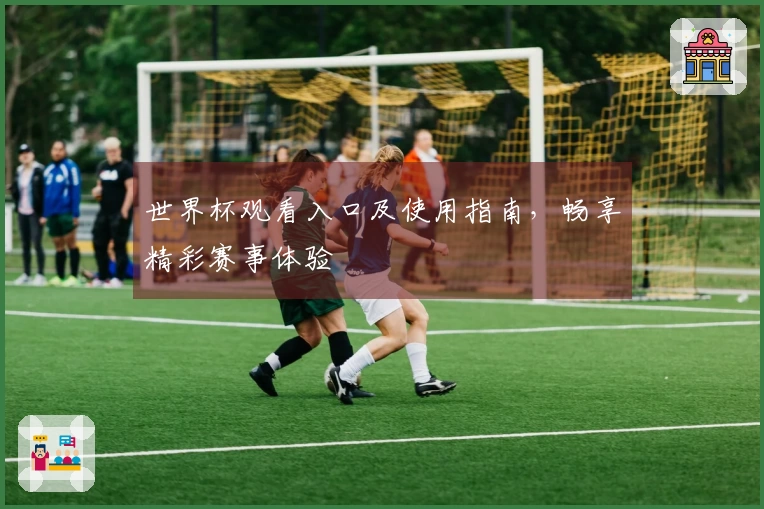 世界杯观看入口及使用指南，畅享精彩赛事体验