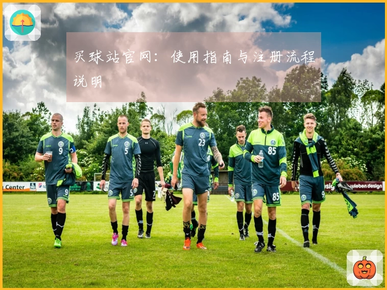 买球站官网：使用指南与注册流程说明