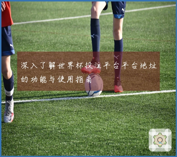 深入了解世界杯投注平台平台地址的功能与使用指南
