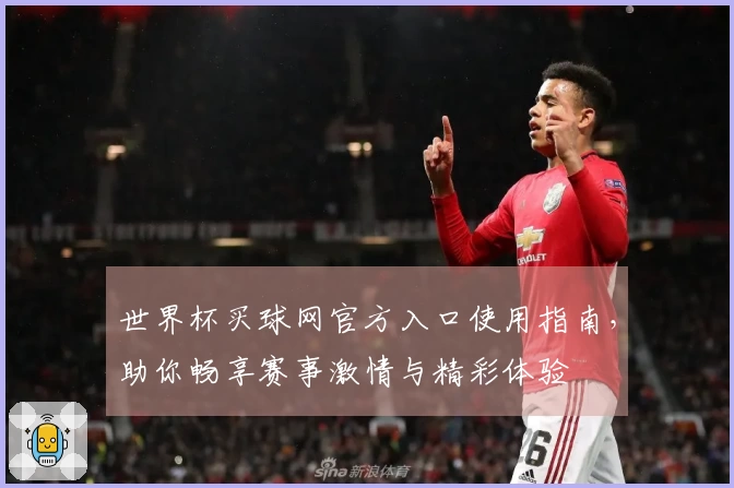 世界杯买球网官方入口使用指南，助你畅享赛事激情与精彩体验