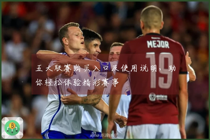 五大联赛购买入口及使用说明，助你轻松体验精彩赛事